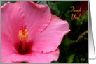 Coach, Thank You!, July Hibiscus in Full Bloom card