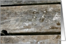 Note Card, Wooden Deck Boards with Glistening Raindrops card