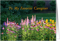 Favorite Caregiver,...