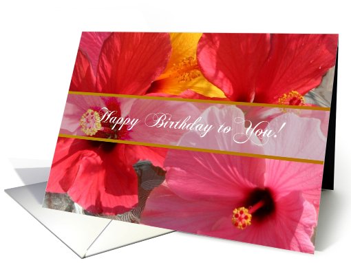 Happy Birthday, Flowers card (665003)