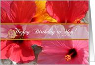 Happy Birthday, Flowers card