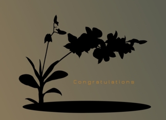 Elopement,Congratulations, Hawaiian Orchids, Shadow with Gradient Backdrop