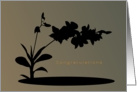 Elopement,Congratulations, Hawaiian Orchids, Shadow with Gradient Backdrop card