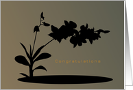 Recital, Congratulations, Hawaiian Orchids, Shadow with Gradient Backdrop card