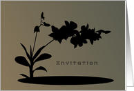 Invitation, Hawaiian Orchids card