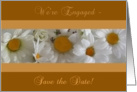 We’re Engaged - Save the Date Daisies card