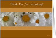 Thank You For Everything! Lovely Daisies card