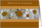 Thank You For Everything! Lovely Daisies card
