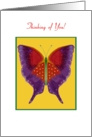 Thinking of You! Butterfly Collection - blank inside card