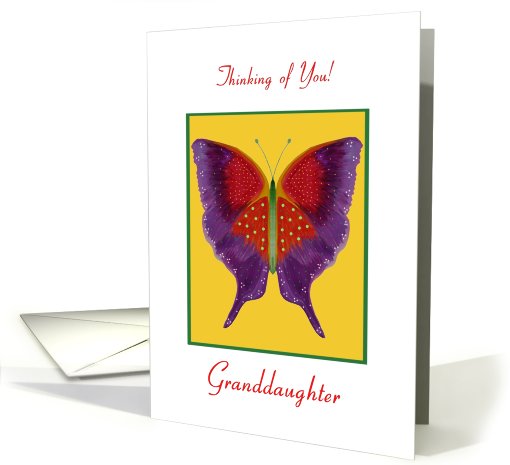 Granddaughter, Thinking of You, Butterfly Collection card (778096)