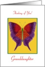 Granddaughter, Thinking of You, Butterfly Collection card