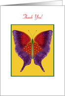 Thank You, Butterfly Collection - blank inside card