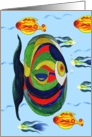 Colorful Fish card