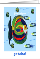 Gotcha Day! for Grandson, Colorful Fish at Sea card