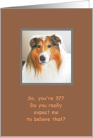37, Happy Birthday!, Zinger in Disbelief - Humor card