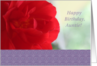 Auntie, Happy Birthday, Red Begonia card