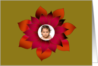 Merry Christmas! Festive Poinsettia card