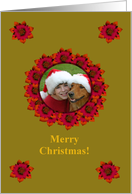Merry Christmas! Festive Poinsettia Wreath card