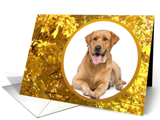 Photo Card, Birthday, Golden Autumn Leaves card (874602)