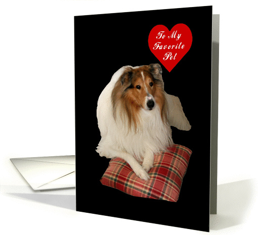 Pet Valentine, Heart Full of Love card (893804)
