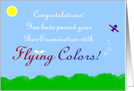 Congratulations, You Passed Your Bar Exam Test, Flying Colors card