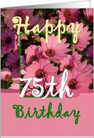 75TH BIrthday - Pink Flowers card