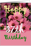 37TH BIrthday - Pink Flowers card