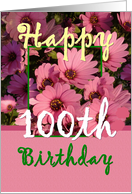 100TH BIrthday - Pink Flowers card