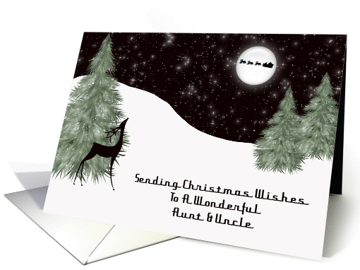 Reindeer Aunt & Uncle Christmas card (1453352)