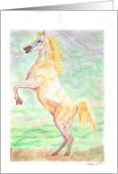 Rearing Palomino card