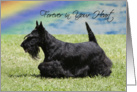 Pet Loss Sympathy Card - Forever In Your Heart card