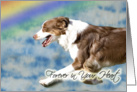 Forever In Your Heart (Pet Loss) - Australian Shepherd card