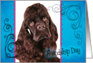 Friendship Day card featuring a chocolate American Cocker Spaniel card