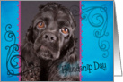 Friendship Day card featuring a black American Cocker Spaniel card