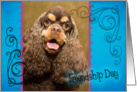 Friendship Day card featuring a chocolate/tan American Cocker Spaniel card