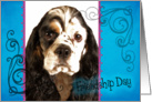 Friendship Day card featuring a parti American Cocker Spaniel card