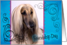 Friendship Day card featuring an Afghan Hound card