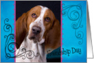 Friendship Day card featuring a Basset Hound card