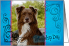 Friendship Day card featuring a red Australian Shepherd card