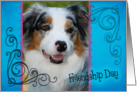 Friendship Day card featuring a blue merle Australian Shepherd card