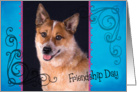 Friendship Day card featuring an Australian Cattle Dog card