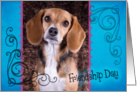 Friendship Day card featuring a Beagle card