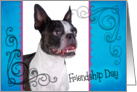Friendship Day card featuring a Boston Terrier card