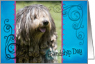 Friendship Day card featuring a Bergamasco card