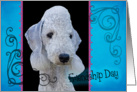 Friendship Day card featuring a Bedlington Terrier card