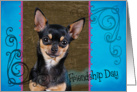 Friendship Day card featuring a black and tan Chihuahua card