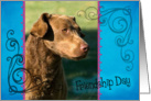 Friendship Day card featuring a Chesapeake Bay Retriever card