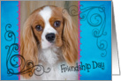 Friendship Day card featuring a Cavalier King Charles Spaniel card