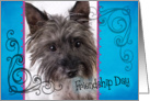 Friendship Day card featuring a Cairn Terrier card
