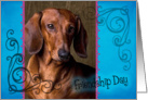 Friendship Day card featuring a smooth red Dachshund card